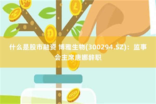 什么是股市融资 博雅生物(300294.SZ)：监事会主席唐娜辞职