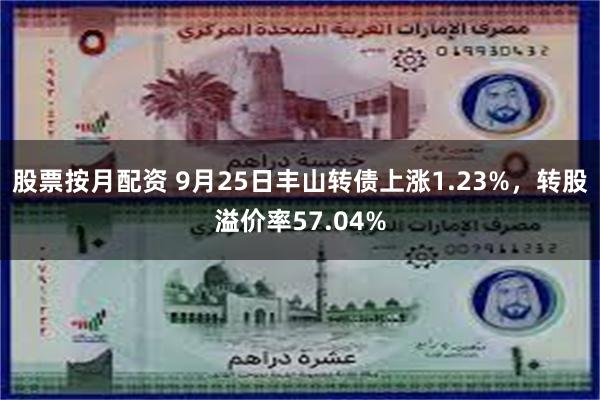 股票按月配资 9月25日丰山转债上涨1.23%，转股溢价率57.04%