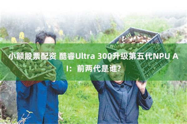 小额股票配资 酷睿Ultra 300升级第五代NPU AI：前两代是谁?