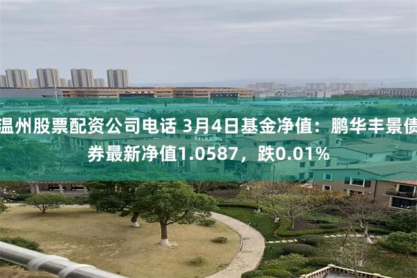 温州股票配资公司电话 3月4日基金净值：鹏华丰景债券最新净值1.0587，跌0.01%