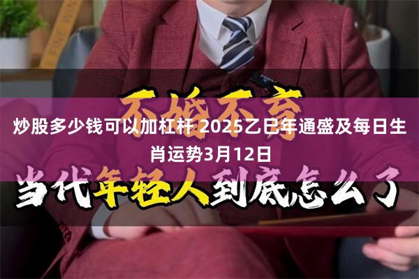 炒股多少钱可以加杠杆 2025乙巳年通盛及每日生肖运势3月12日